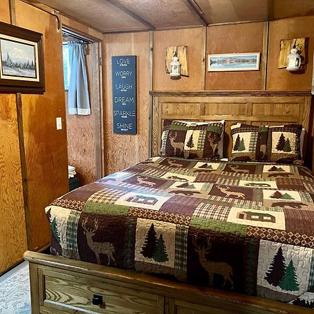Mt Rainier Little Green Cabin On Big Creek! Ashford Exteriér fotografie