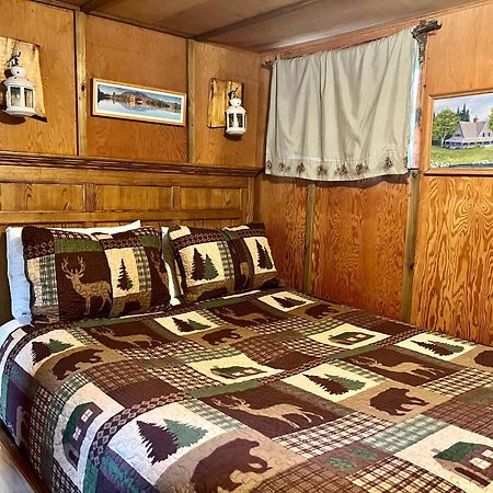 Mt Rainier Little Green Cabin On Big Creek! Ashford Exteriér fotografie