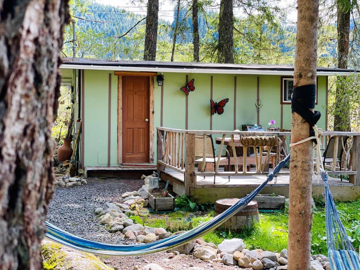 Mt Rainier Little Green Cabin On Big Creek! Ashford Exteriér fotografie