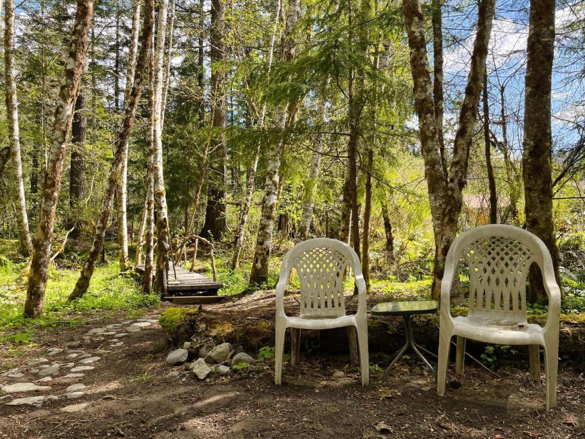 Mt Rainier Little Green Cabin On Big Creek! Ashford Exteriér fotografie