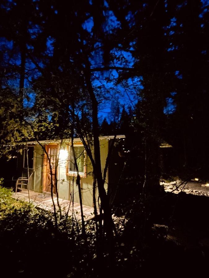 Mt Rainier Little Green Cabin On Big Creek! Ashford Exteriér fotografie