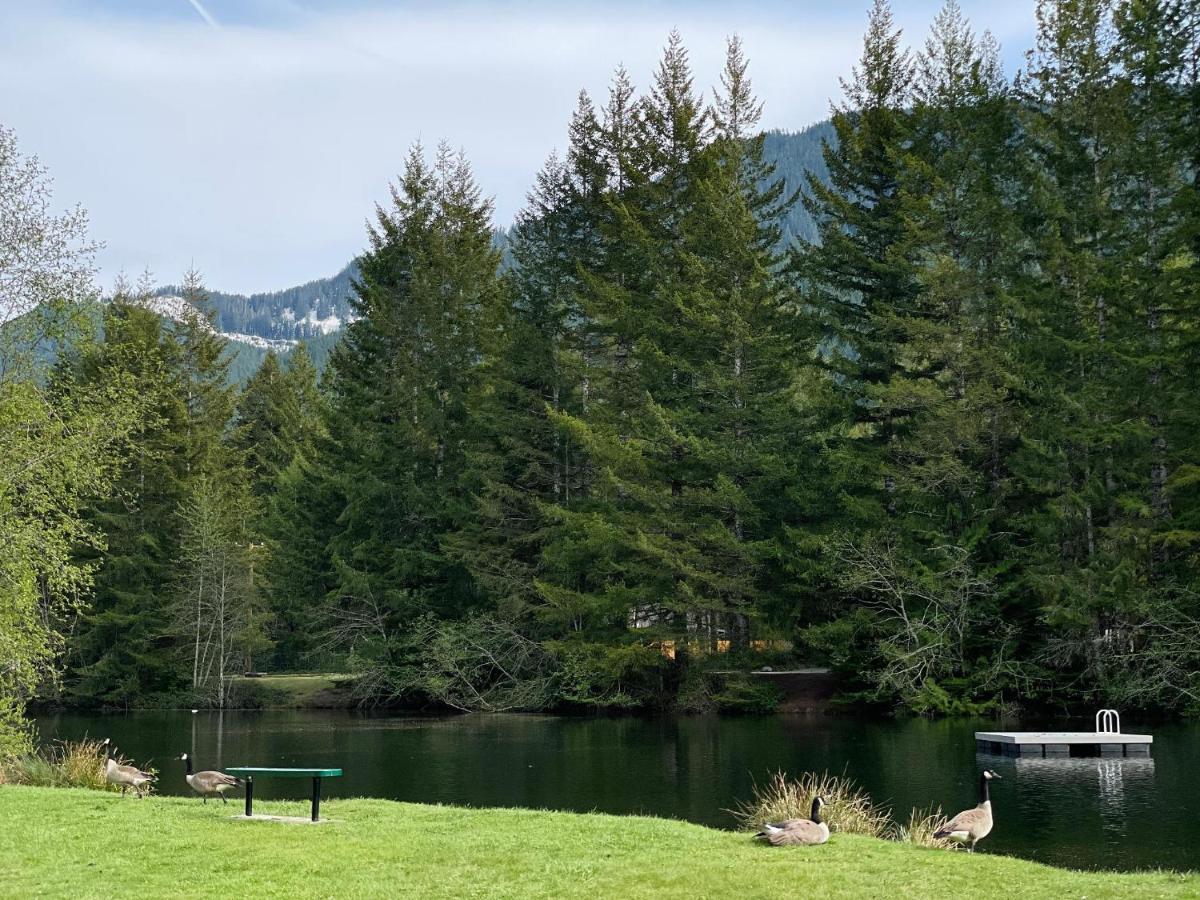 Mt Rainier Little Green Cabin On Big Creek! Ashford Exteriér fotografie