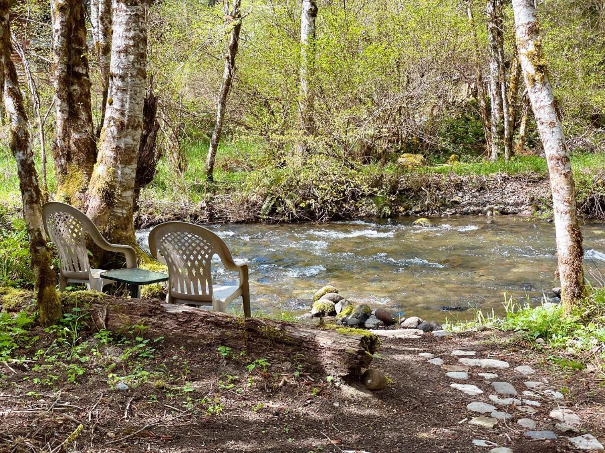 Mt Rainier Little Green Cabin On Big Creek! Ashford Exteriér fotografie