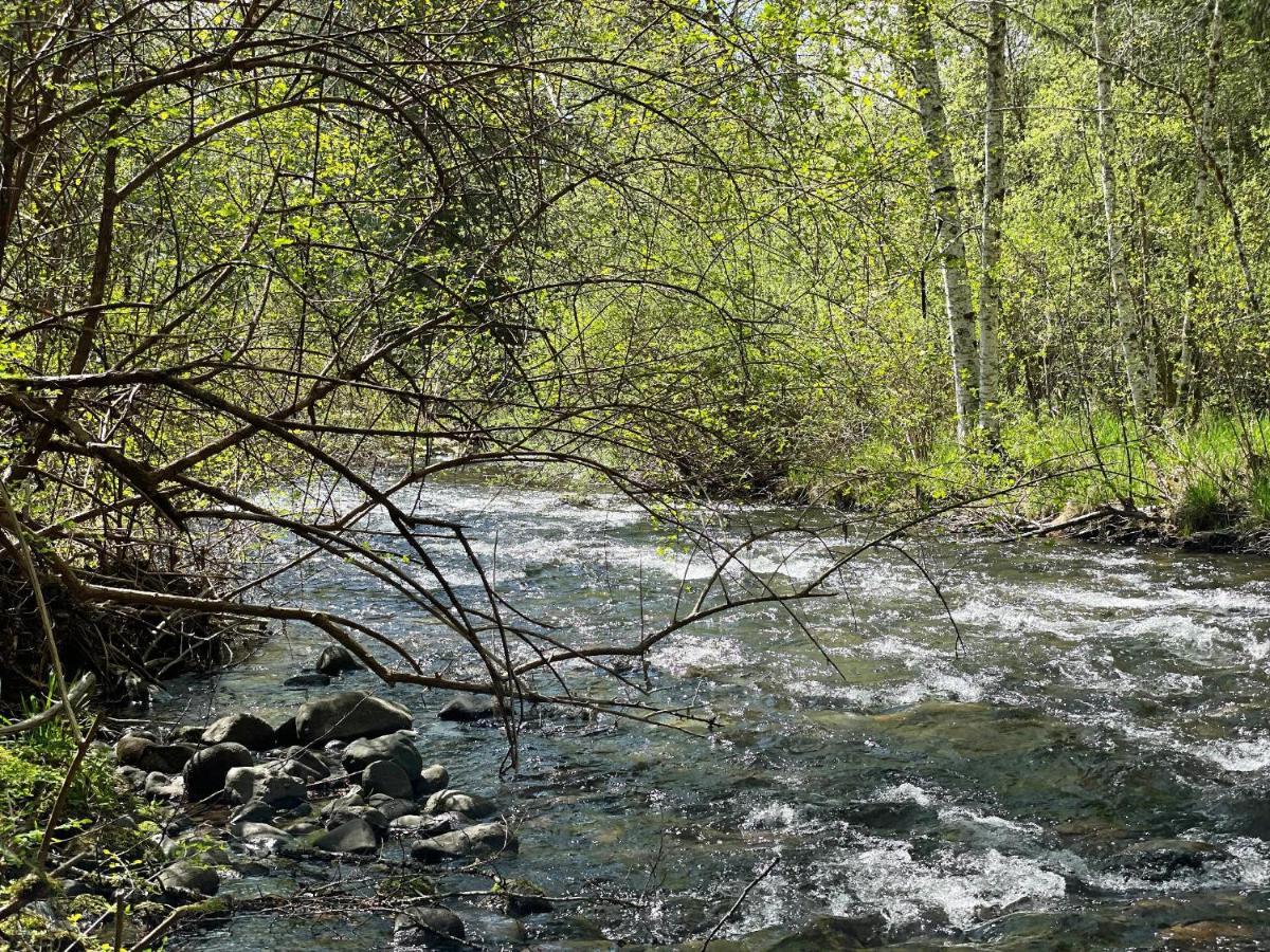 Mt Rainier Little Green Cabin On Big Creek! Ashford Exteriér fotografie