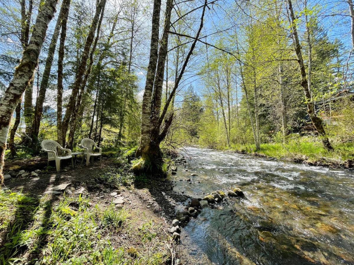 Mt Rainier Little Green Cabin On Big Creek! Ashford Exteriér fotografie
