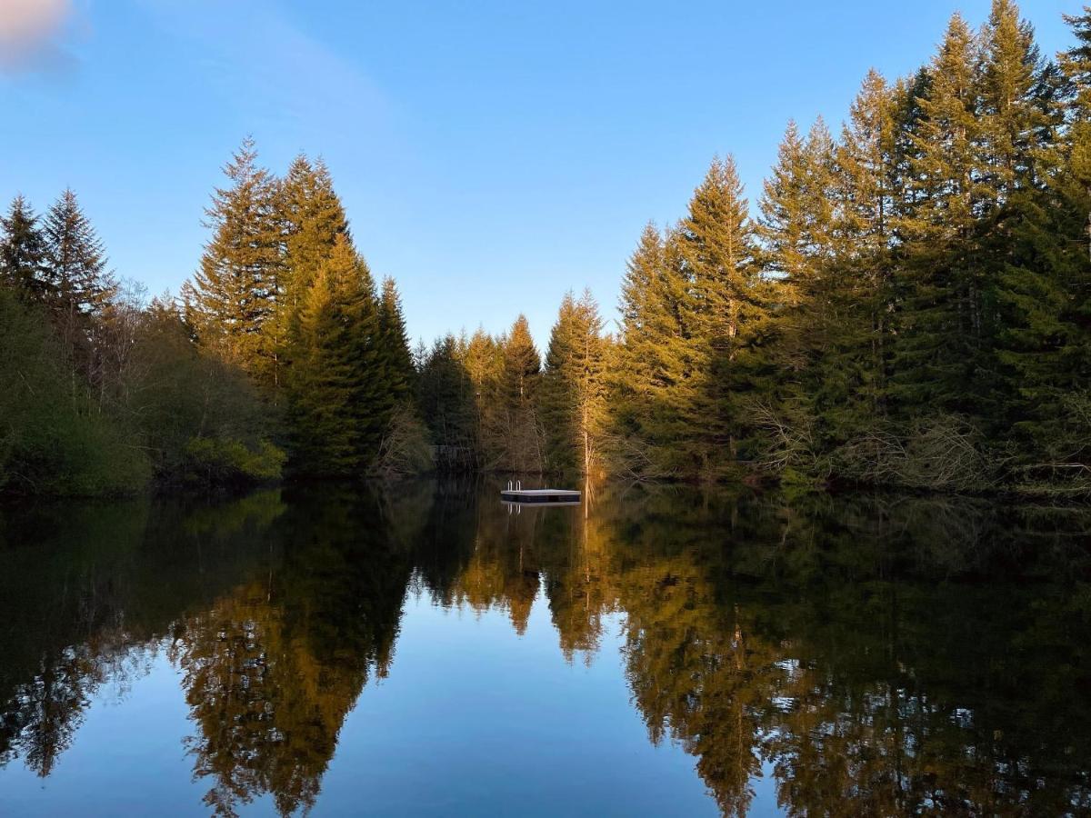 Mt Rainier Little Green Cabin On Big Creek! Ashford Exteriér fotografie